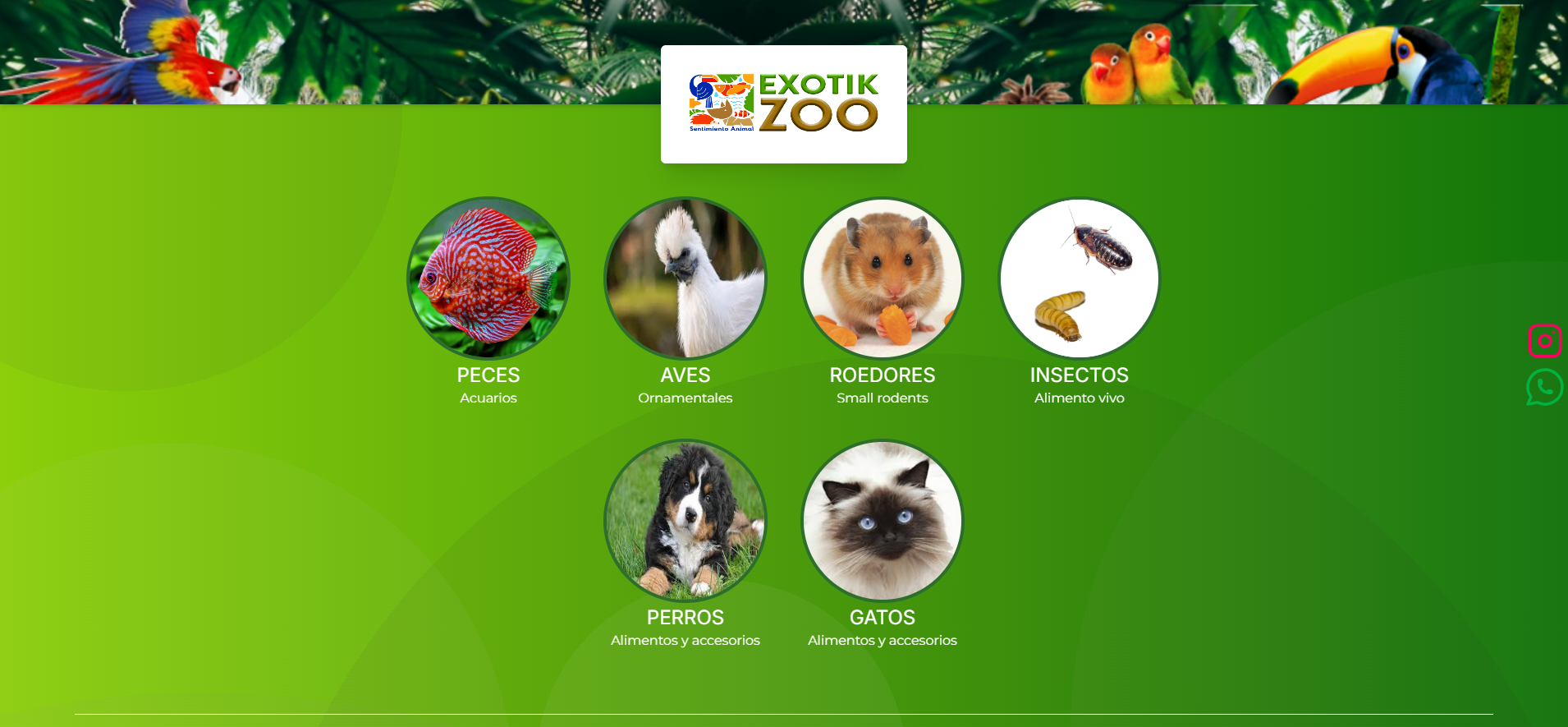 Exotik Zoo Landing Page